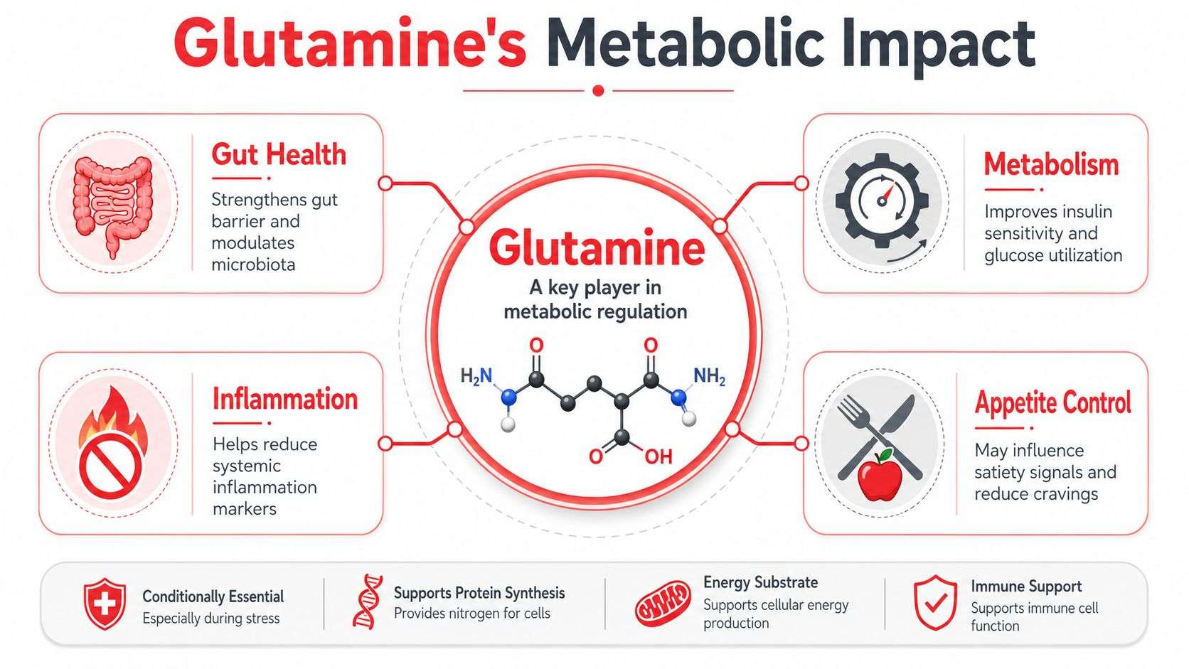 An infographic detailing the metabolic health benefits of glutamine, including gut health, inflammation, and appetite control.