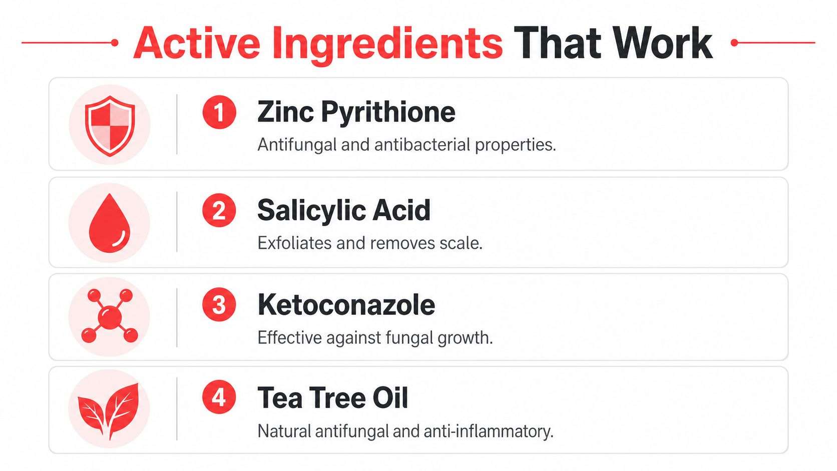 A list of four active ingredients including Zinc Pyrithione, Salicylic Acid, Ketoconazole, and Tea Tree Oil for dandruff.