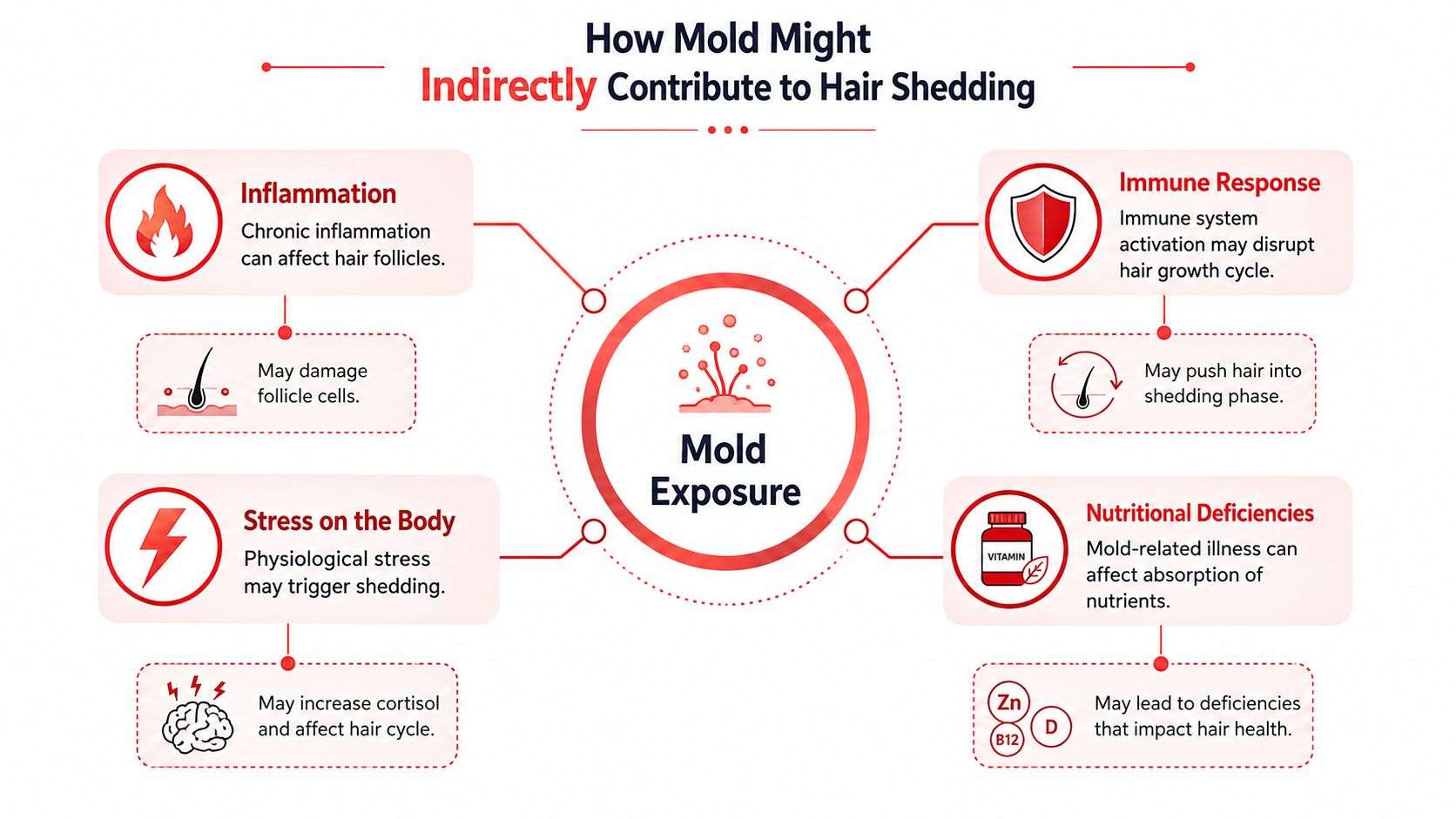 A diagram illustrating four ways mold exposure can indirectly lead to hair shedding and loss.