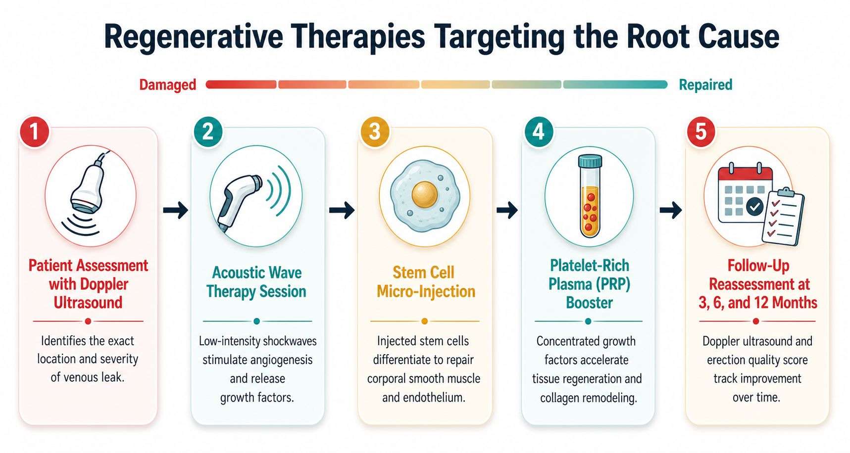 A diagram illustrating a five-step regenerative therapy process to treat penile venous leakage in medical patients.