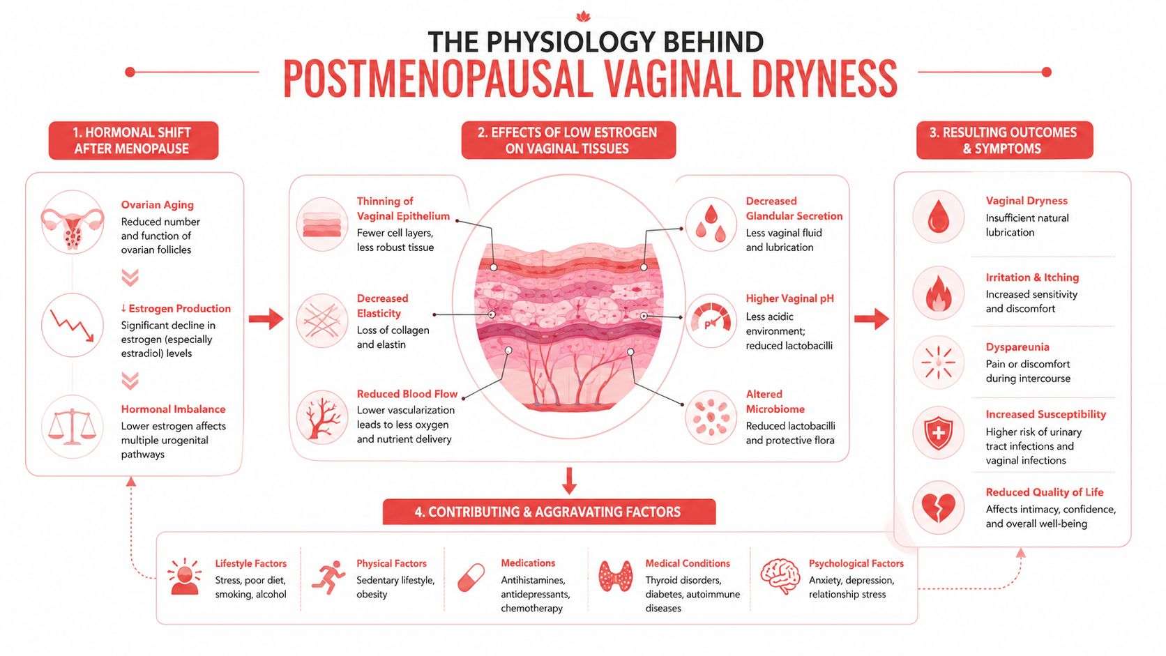 An infographic detailing the physiology of postmenopausal vaginal dryness, including hormonal shifts, tissue effects, and common symptoms.