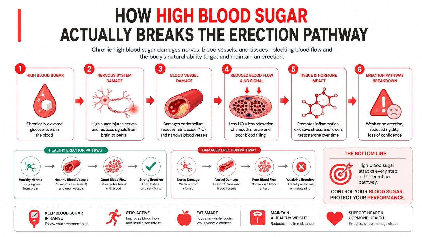 A medical infographic showing how chronic high blood sugar damages nerves and blood vessels, leading to erectile dysfunction.